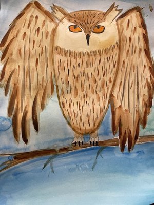 Сибирская совушка