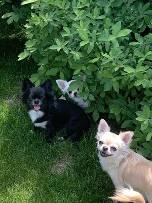 Доброе утро