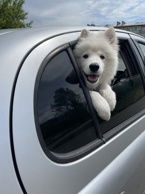 Сладкий пончик ❤️