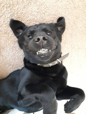 Самый лучший Подарочек это Я