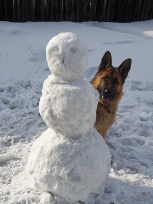 Кто съел глаза, нос и руки? ….