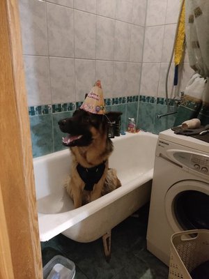 День рождения