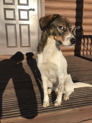 Моя Кокетка