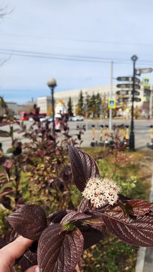 Любимый Иркутск - середина Земли!