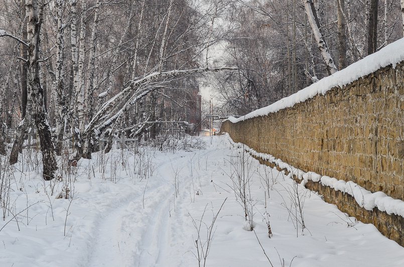 На территории современного Лисихинского кладбища. Автор фото — Илья Татарников На территории современного Лисихинского кладбища. Автор фото — Илья Татарников