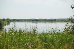 Пруды готовят с осени