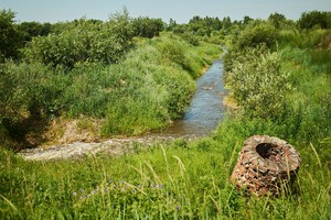 Вода вместе с мальками уходит в Белую
