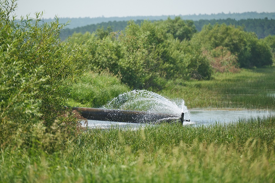 В пруды непрерывно поступает вода