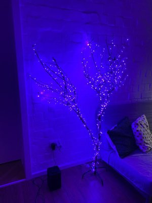 Сирень под видом Ёлки