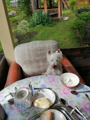 Завтрак на даче