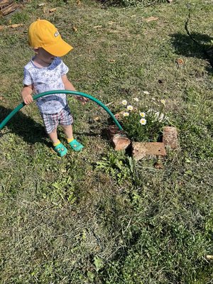 на нашей даче отдыхать некогда:)