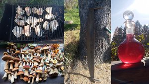 Чистый Отдых