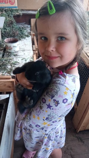 Зайчики на даче