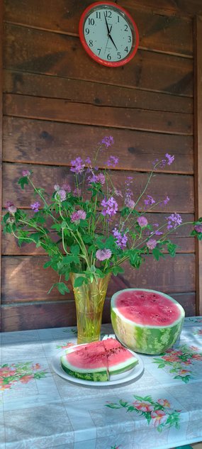 Маленькие летние радости