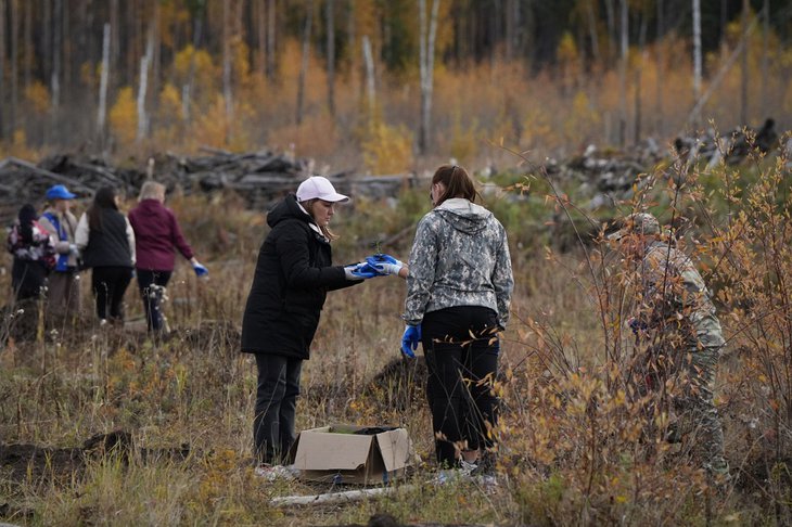 Акция «Сохраним лес». Фото пресс-службы правительства Иркутской области