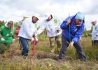 Акция «Сохраним лес». Фото пресс-службы правительства Иркутской области