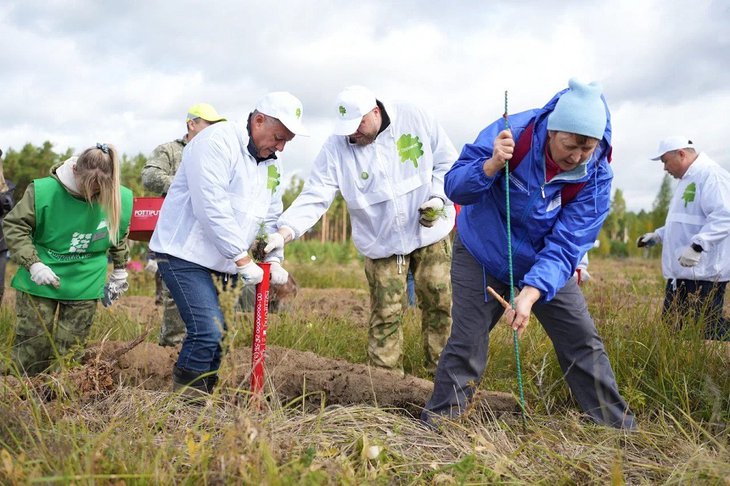 Акция «Сохраним лес». Фото пресс-службы правительства Иркутской области