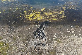 Стоки в Ангару. Фото очевидца