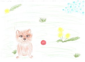 Лето я провела гуляя с собакой