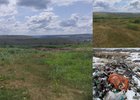 Место, где была свалка. Фото из телеграм-канала Байкальской межрегиональной природоохранной прокуратуры