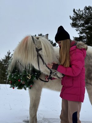 Снежная лошадка
