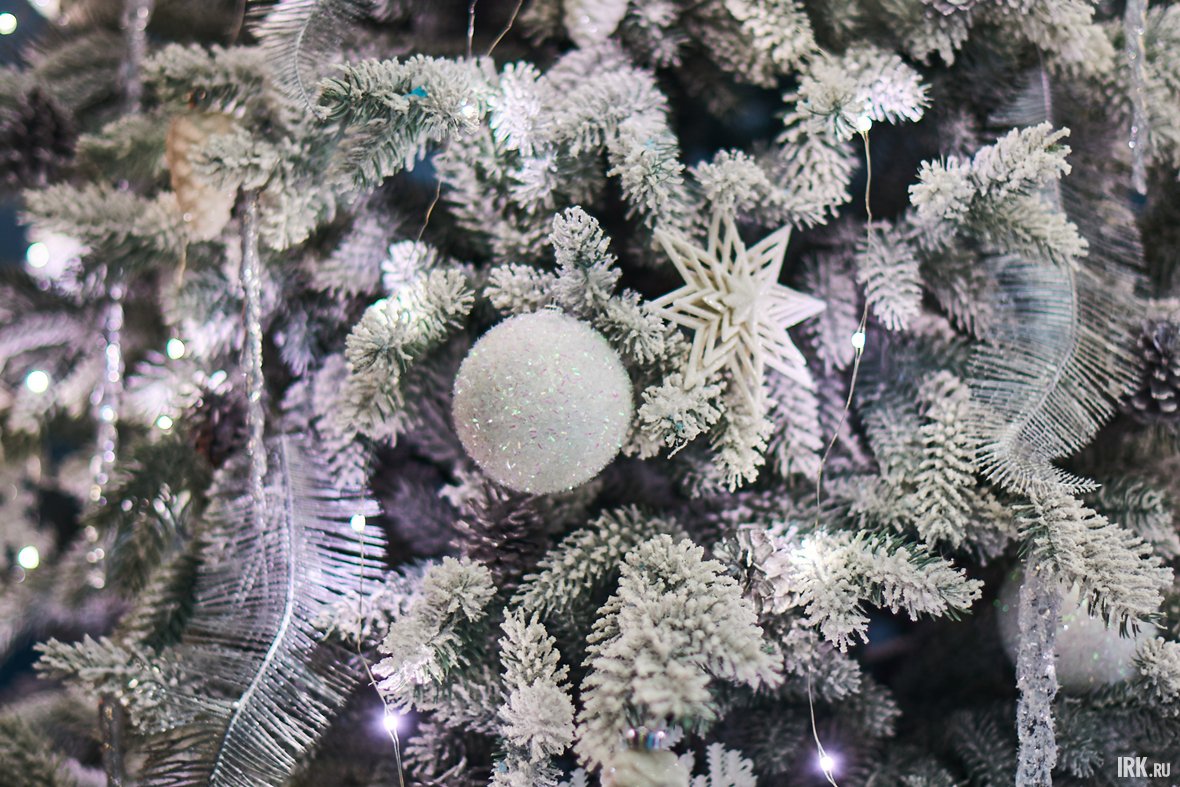 Фото: Маргарита Романова Фото: Маргарита Романова