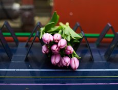 После обработки стебли получаются ровными, гладкими, без повреждений и деформации.