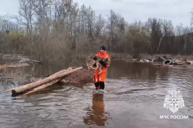 Сотрудники ведомства работают в зоне паводков. Скриншот видео пресс-службы ГУ МЧС России по Иркутской области