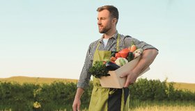 Огород. Сад. Загородный дом