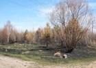 Фото пресс-службы правительства Иркутской области