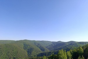 Тайга