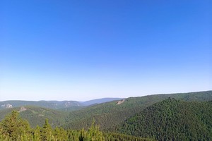 Тайга и Красноярские Столбы