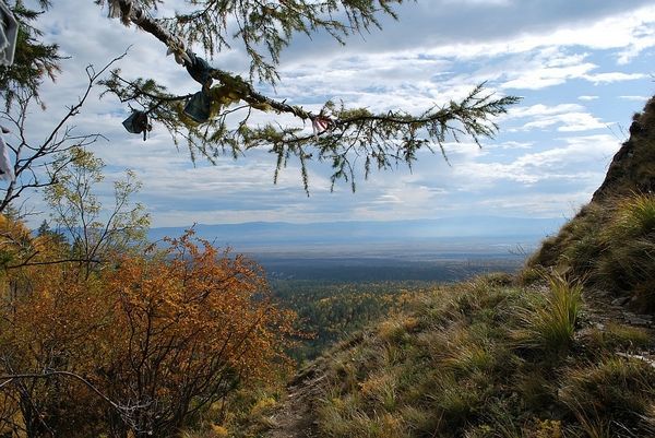 Аршан. Фото В.Моисеевой Аршан. Фото В.Моисеевой
