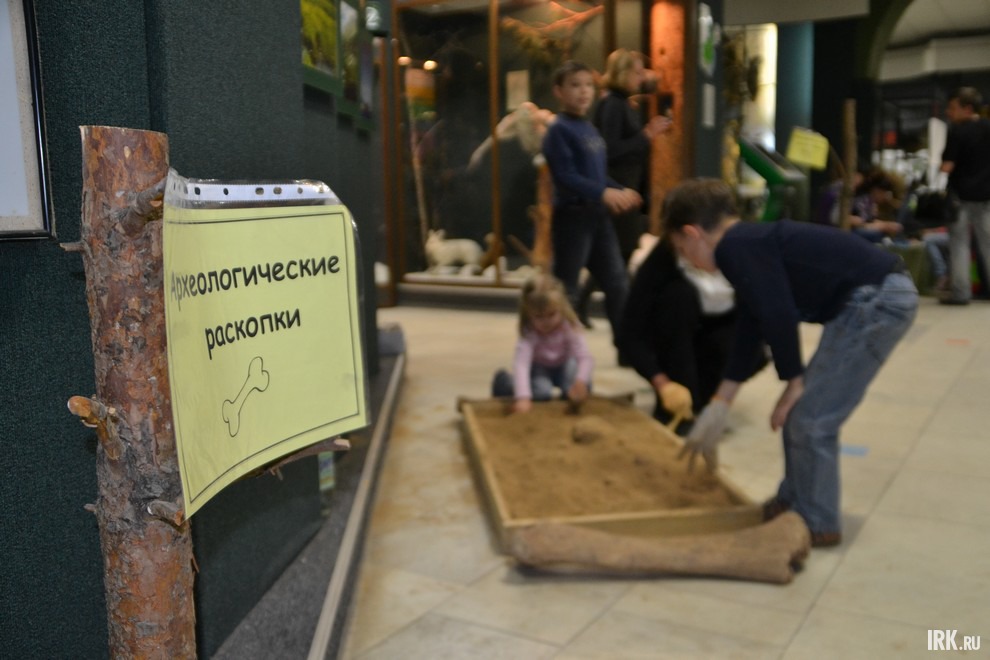 Отдел природы Краеведческого музея