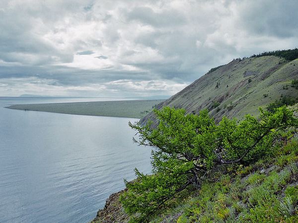 Вид на мыс Рытый. Автор фото — Александр Рютин. Фото с сайта www.nature.baikal.ru