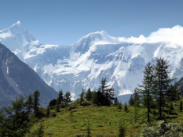 Алтай. Фото с сайта www.dbpedia.ru