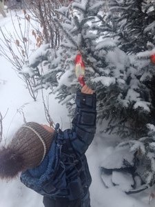 Наряжали елку)))