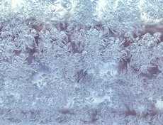 Фото Олеси Чечугиной