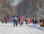 Участник Владимир Дрыга и его сибирский хаски преодолели дистанцию пять километров в дисциплине ски-джоринг и заняли второе место.