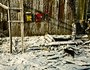 Номинация «Неформат». 1-е место. «Красное и желтое». Автор — Анастасия Бамгшева.