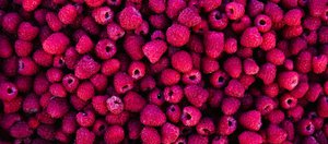 Подборка рецептов с сезонными ягодами: брусника, малина, клюква, калина