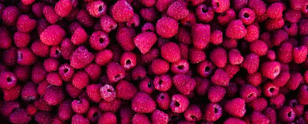 Подборка рецептов с сезонными ягодами: брусника, малина, клюква, калина