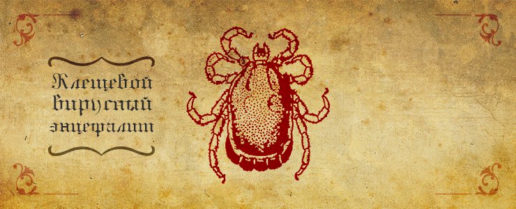 Наглядное пособие, что делать в случае присасывания клеща. Какие меры предпринимать, чтобы избежать неприятности.