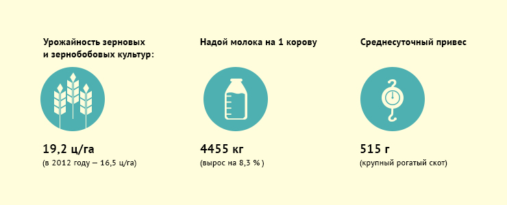 В 2013 году сельхозпроизводители области произвели продукции на 52,9 миллиарда рублей. Рост достигнут в основном за счет повышения урожайности зерновых и зернобобовых культур.
