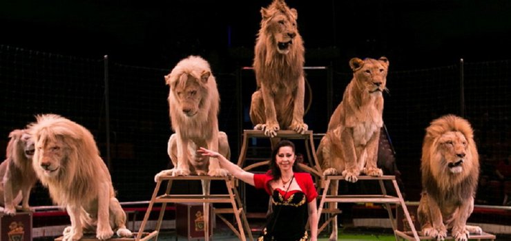 Проверьте свои знания.