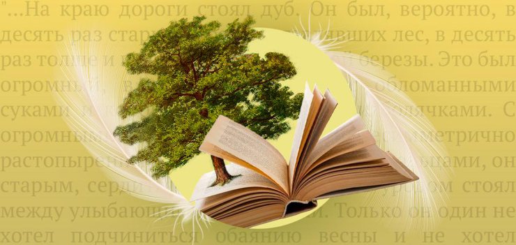Что вы помните из школьной программы.