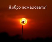 Новая