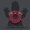 Rabe091