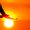 Sun81