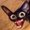 katgo